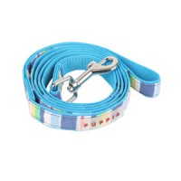 Blue rainbow lead