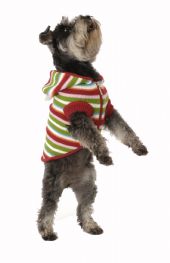Rainbow dog cardigan