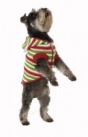Rainbow dog cardigan