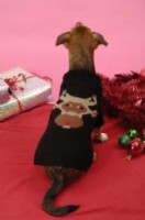 reindeer jumper
